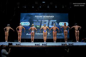 FIGURE НОВИЧКИ